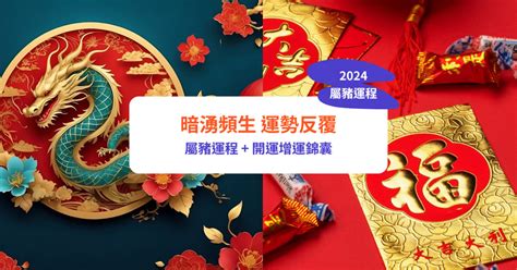 豬運程2024|【屬豬2024生肖運勢】暗湧頻生，運勢反覆｜屬豬運 